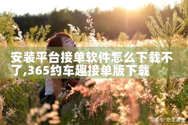 安装平台接单软件怎么下载不了