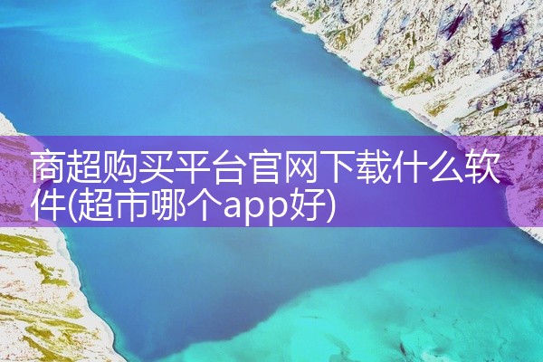 商超购买平台官网下载什么软件