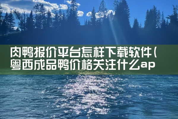 肉鸭报价平台怎样下载软件